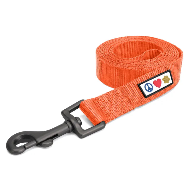 Solid Leash 6-FT