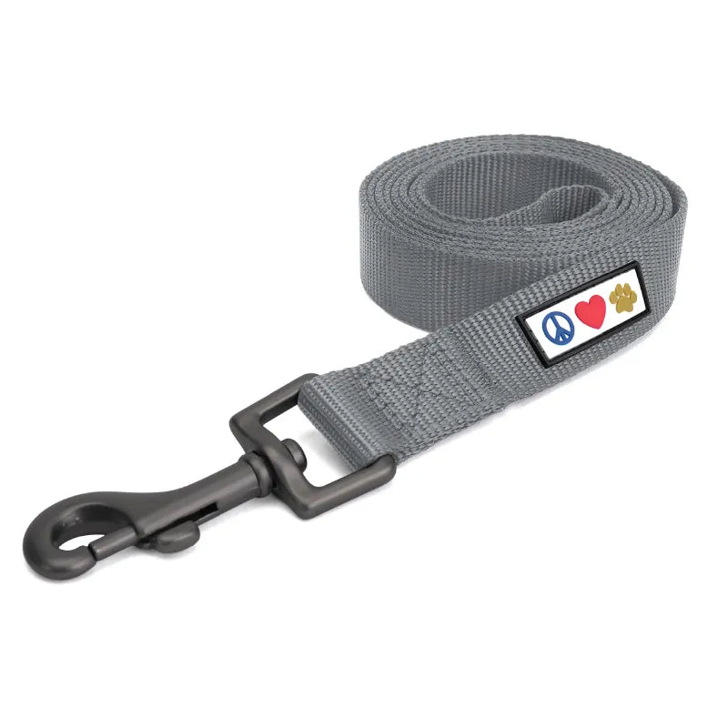 Solid Leash 6-FT