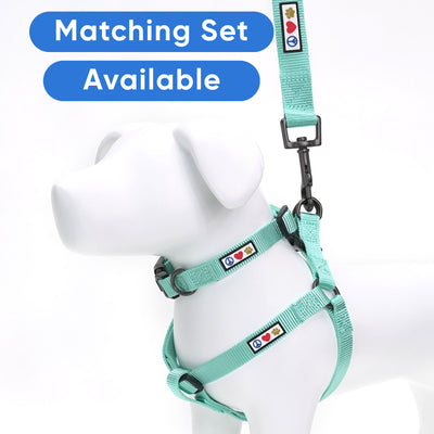 Solid Color Dog Collar
