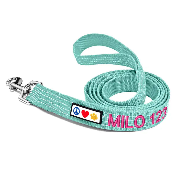 Personalized Custom Reflective Standard Dog Leash 6 Ft
