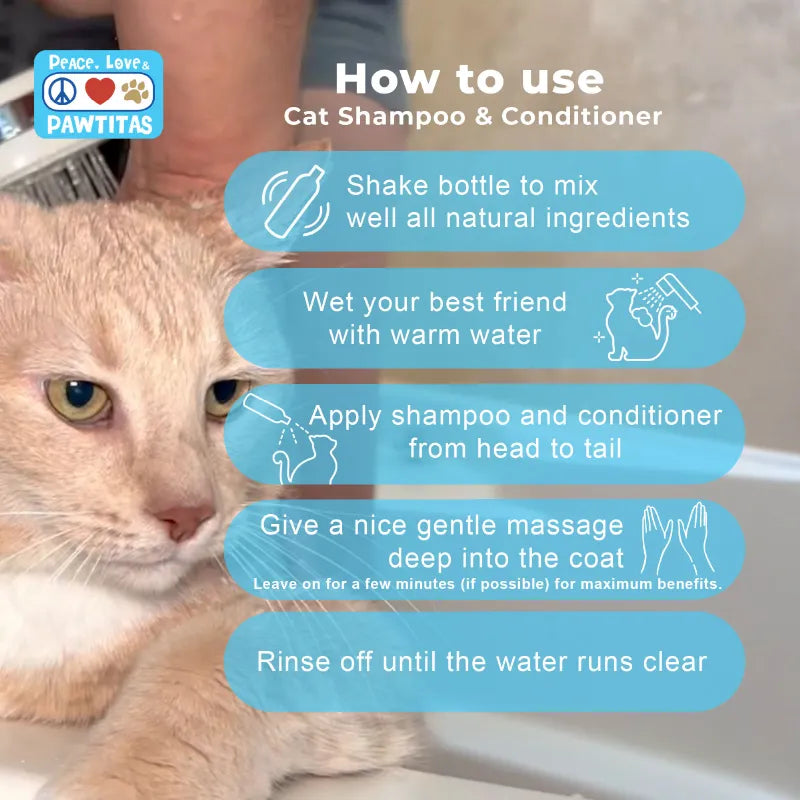 Pawtitas Organic Sheabutter Oatmeal Cat Shampoo Conditioner 16 fl oz Bottle