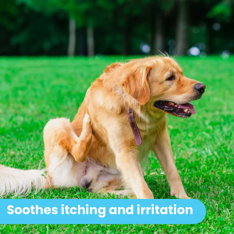 Itch Soother Balm