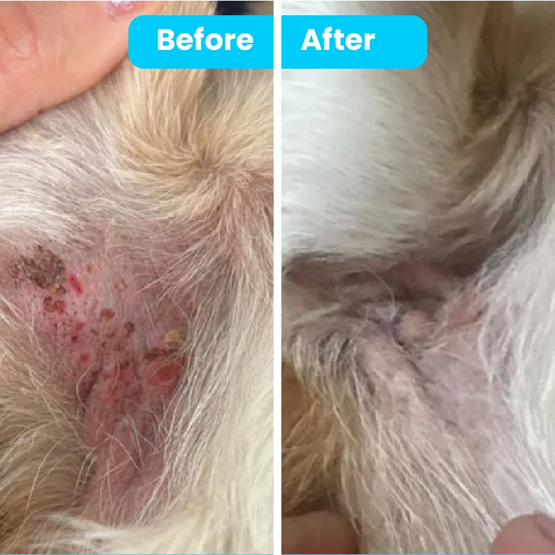 Itch Soother Balm