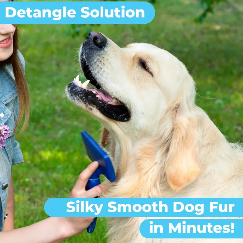 🐶 Dog Shampoo & Conditioner - Itch Soother | 16oz