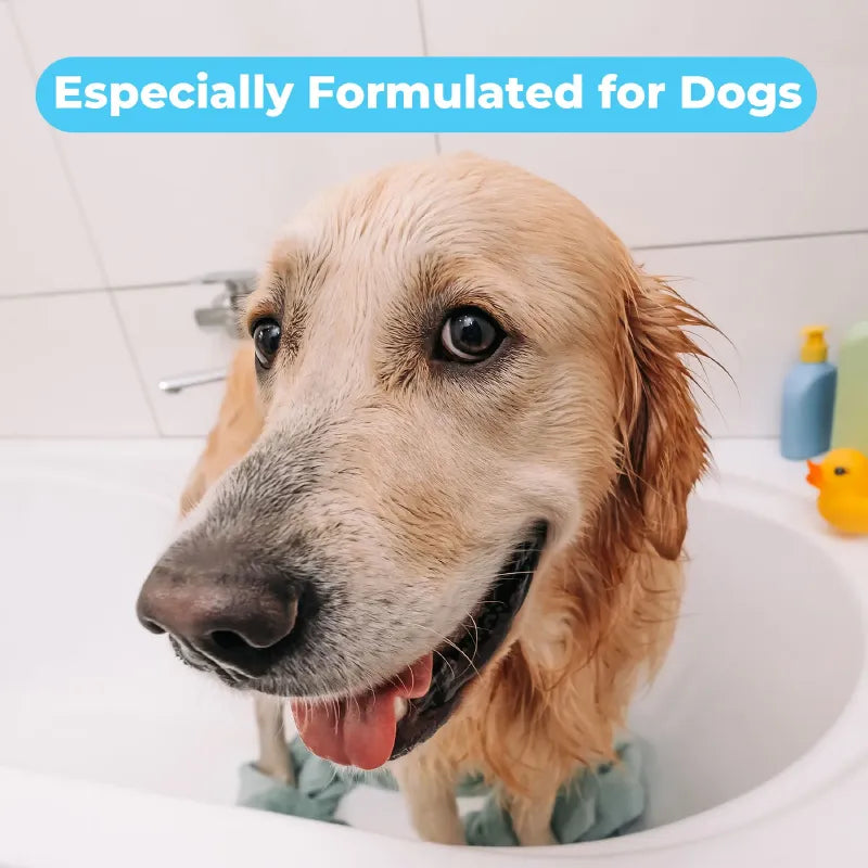 🐶 Dog Shampoo & Conditioner - Itch Soother | 16oz