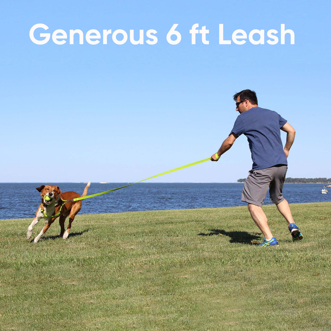 Reflective Dog Leash - 6 Ft