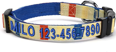 Personalized Multicolor Dog Collar