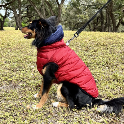 Double Sided Dog Vest Winter Jacket Model 2