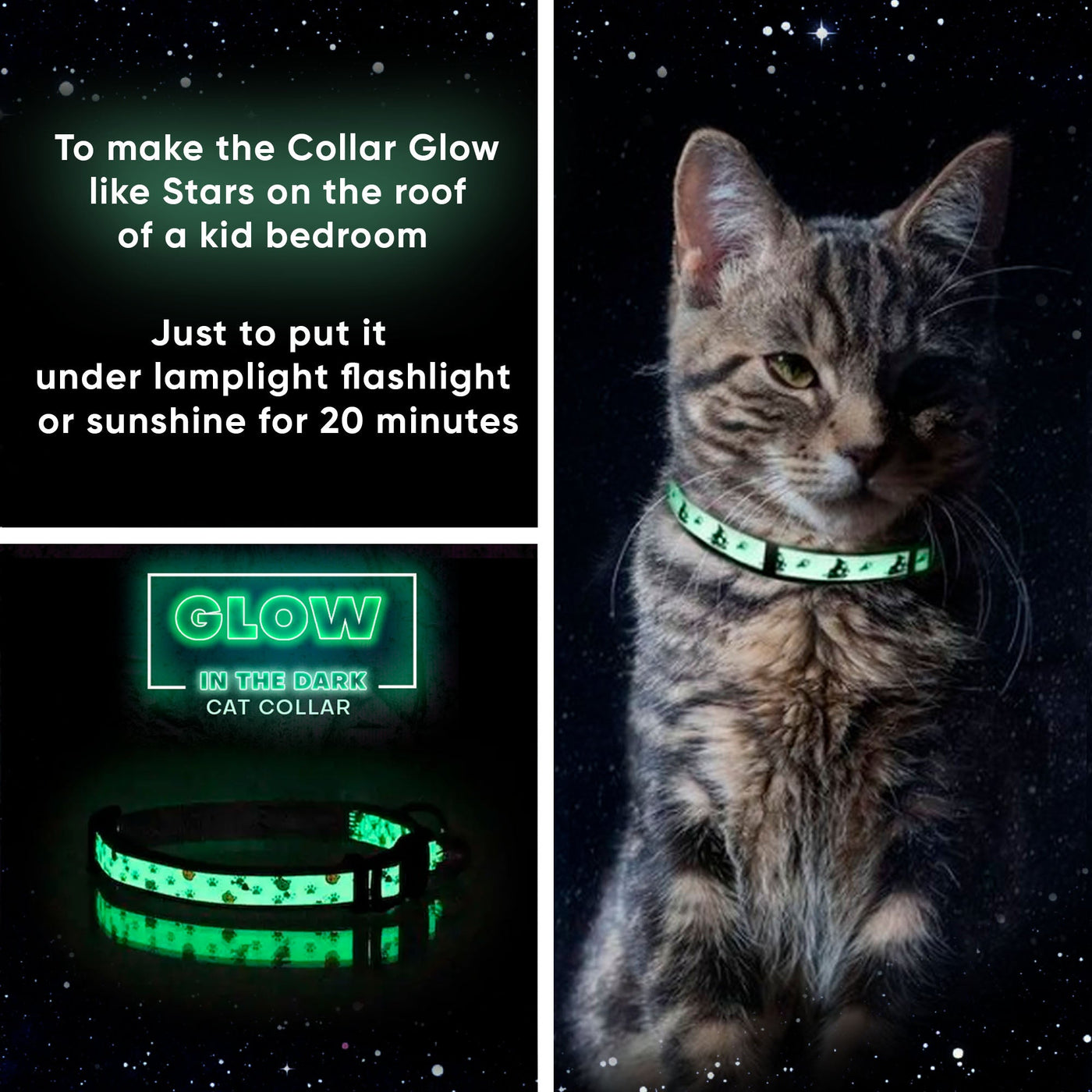 Glow In The Dark Cat Collar Limited Edition 2
