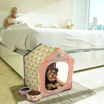Personalized Dog House