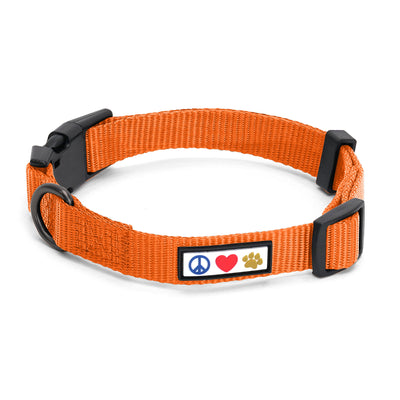 Orange Solid Color Dog Collar
