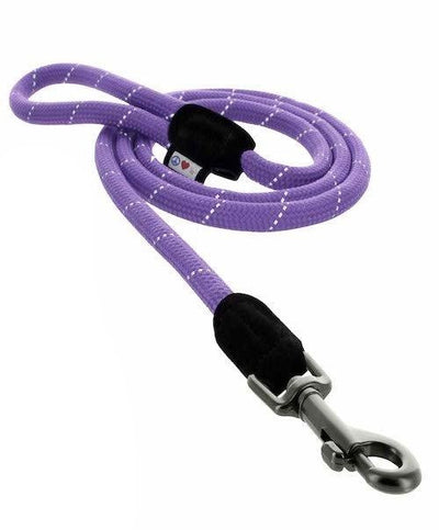 training dog leash