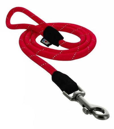 training dog leash