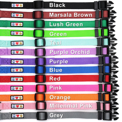 Personalized Dog Collar Colors