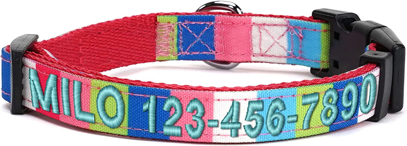 Personalized Multicolor Dog Collar