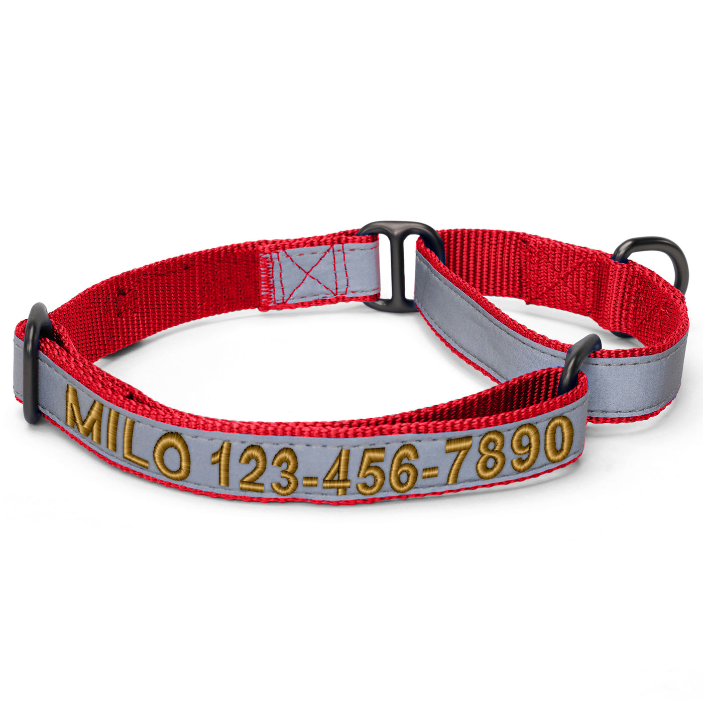 Personalized Reflective Martingale Dog Collar