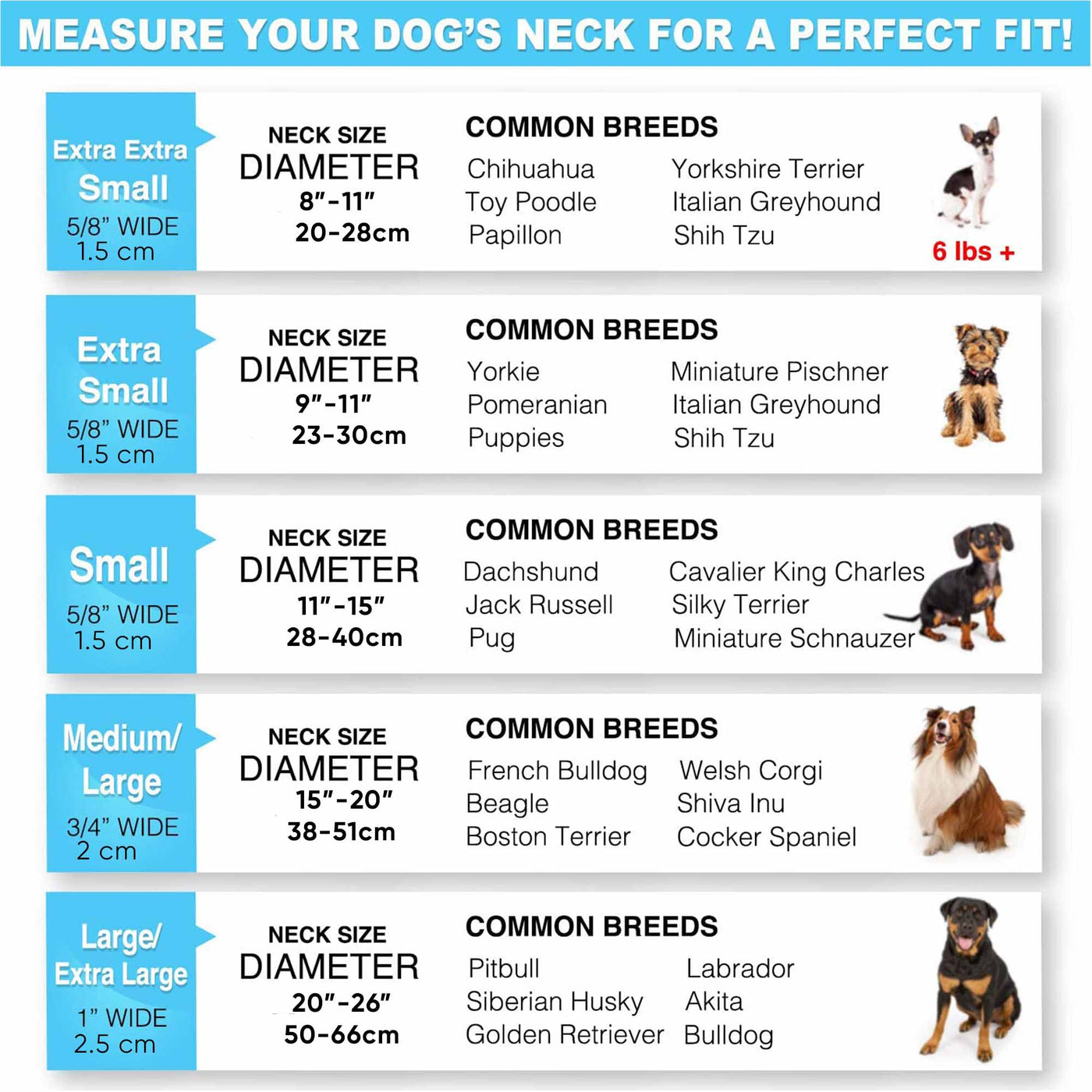 Reflective Neoprene Padded Dog Collar Size Chart
