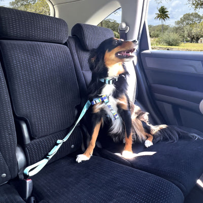 Seat Belt for Pets