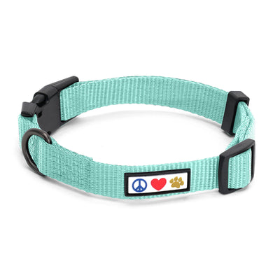 Teal Solid Color Dog Collar