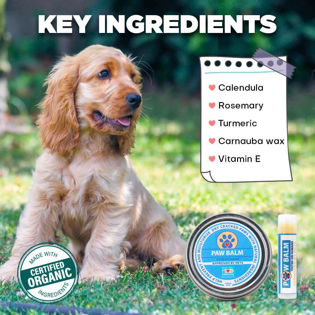 Dog Paw Balm Ingredients